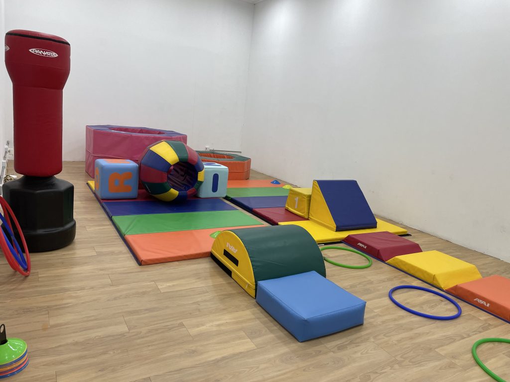 Gymnastic/Fitness Room